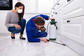 Best Pest Prevention Services  in Stratford, TX