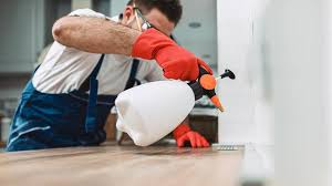 Real Estate Pest Inspections in Stratford, TX